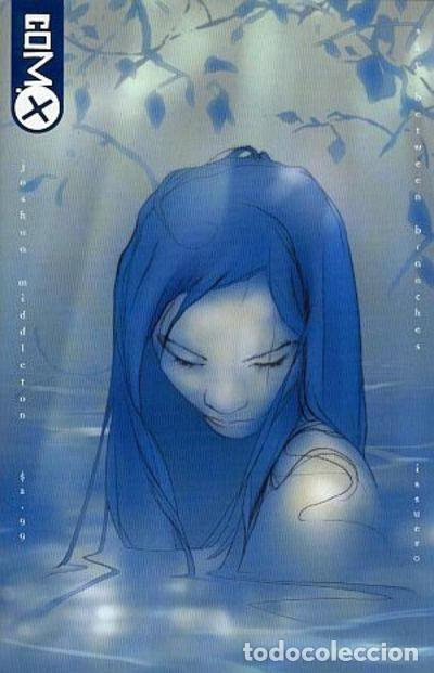 C&oacute;mics: SKY BETWEEN BRANCHES #0, COM.X, 2.003. USA - Foto 1