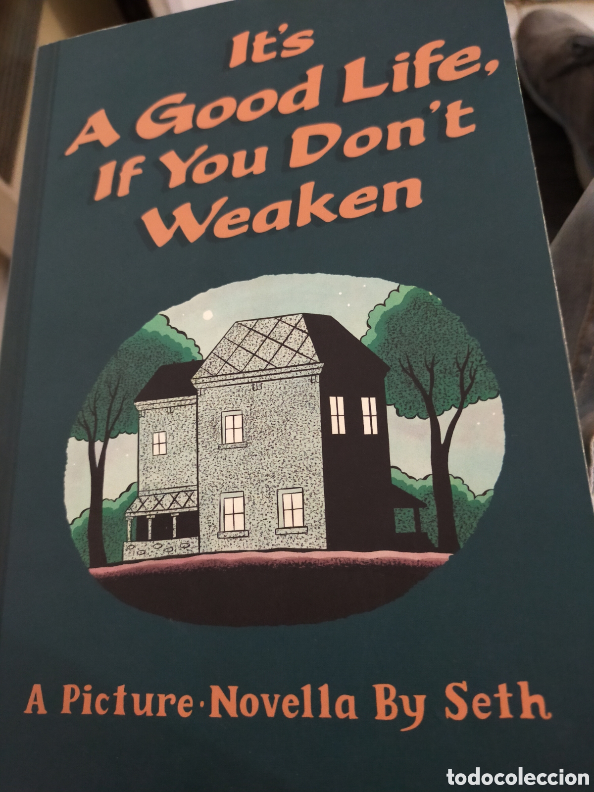 Comics: IT' S A GOOD LIFE.IF YOU DON' Y WEAKEN COMIC INGL&Eacute;S COMO NUEVO