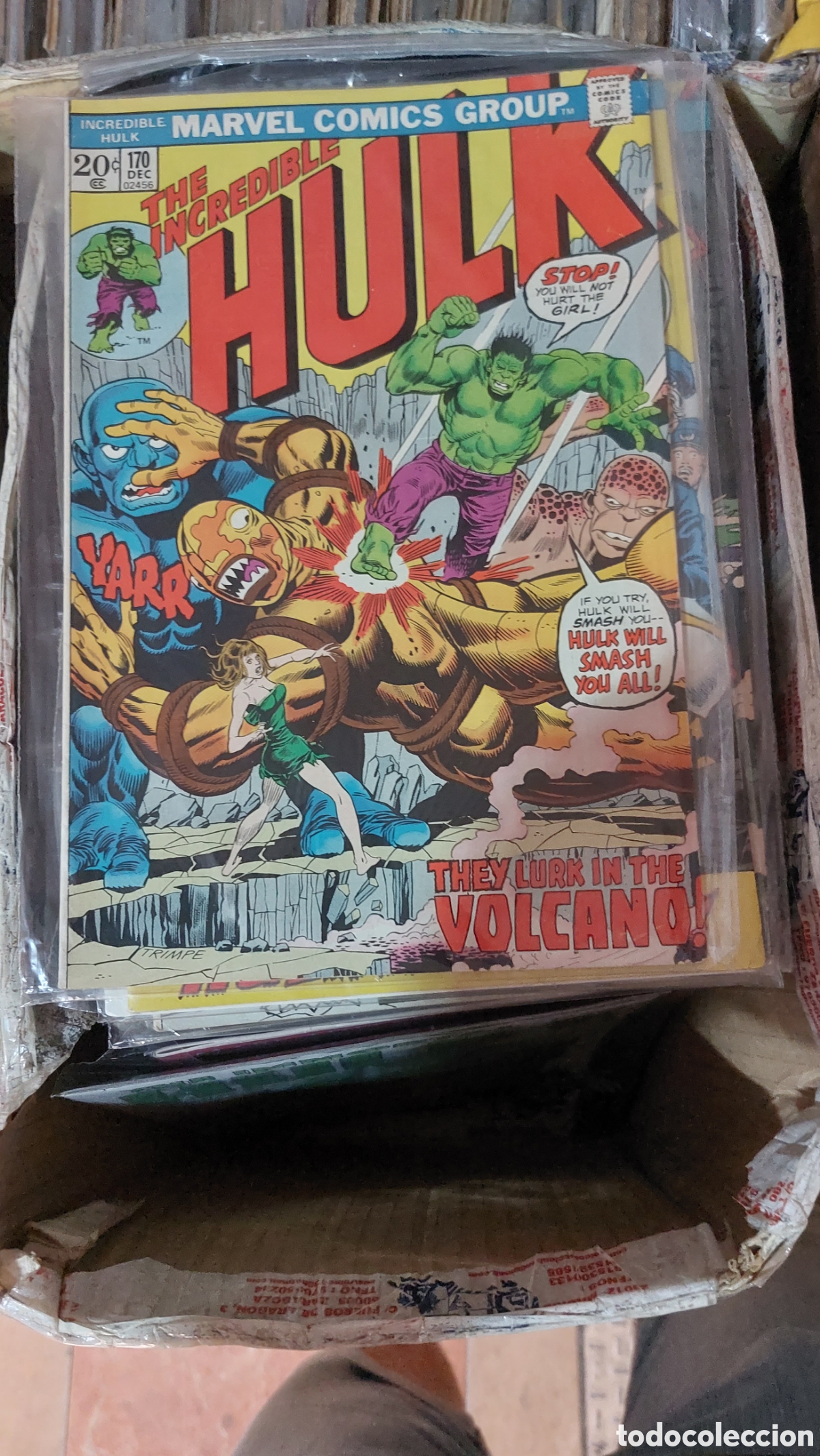C&oacute;mics: The Incredible Hulk #170 - Foto 1
