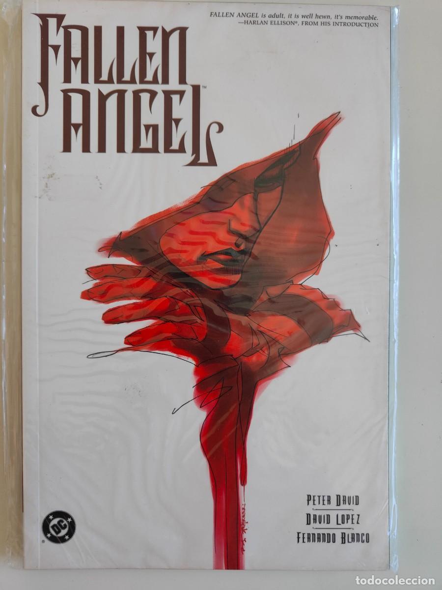 C&oacute;mics: Fallen Angel DC Peter David TPB 2004 - Foto 1