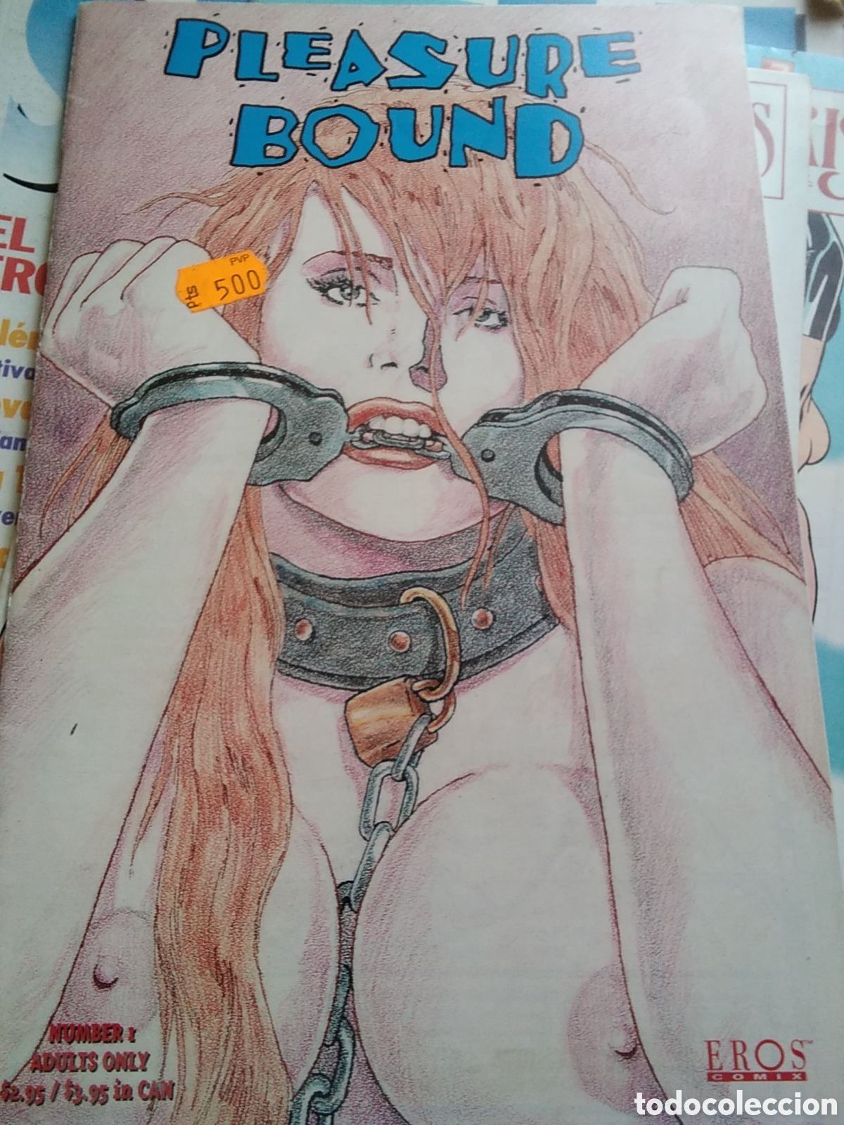 Fumetti: Pleasure bound comic americano sadomasoquista n&uacute;mero 1