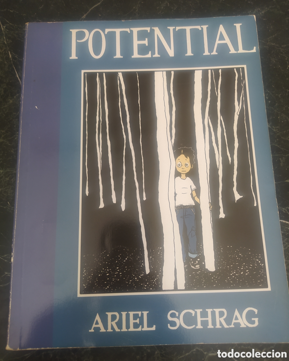 C&oacute;mics: Potential. Ariel Schrag - Foto 1