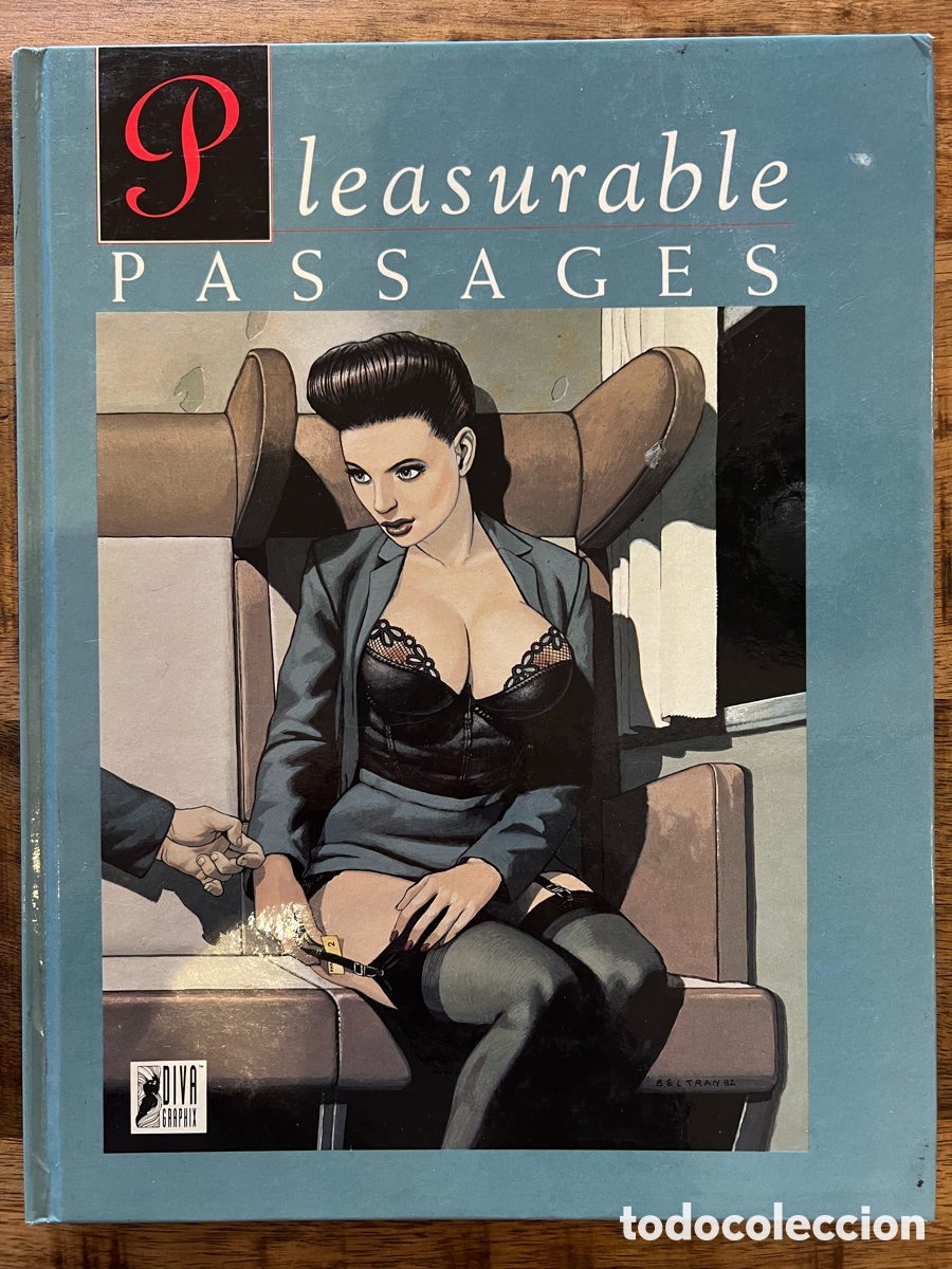 C&oacute;mics: Pleasurable Passages Diva Graphix en Ingl&eacute;s C&oacute;mic