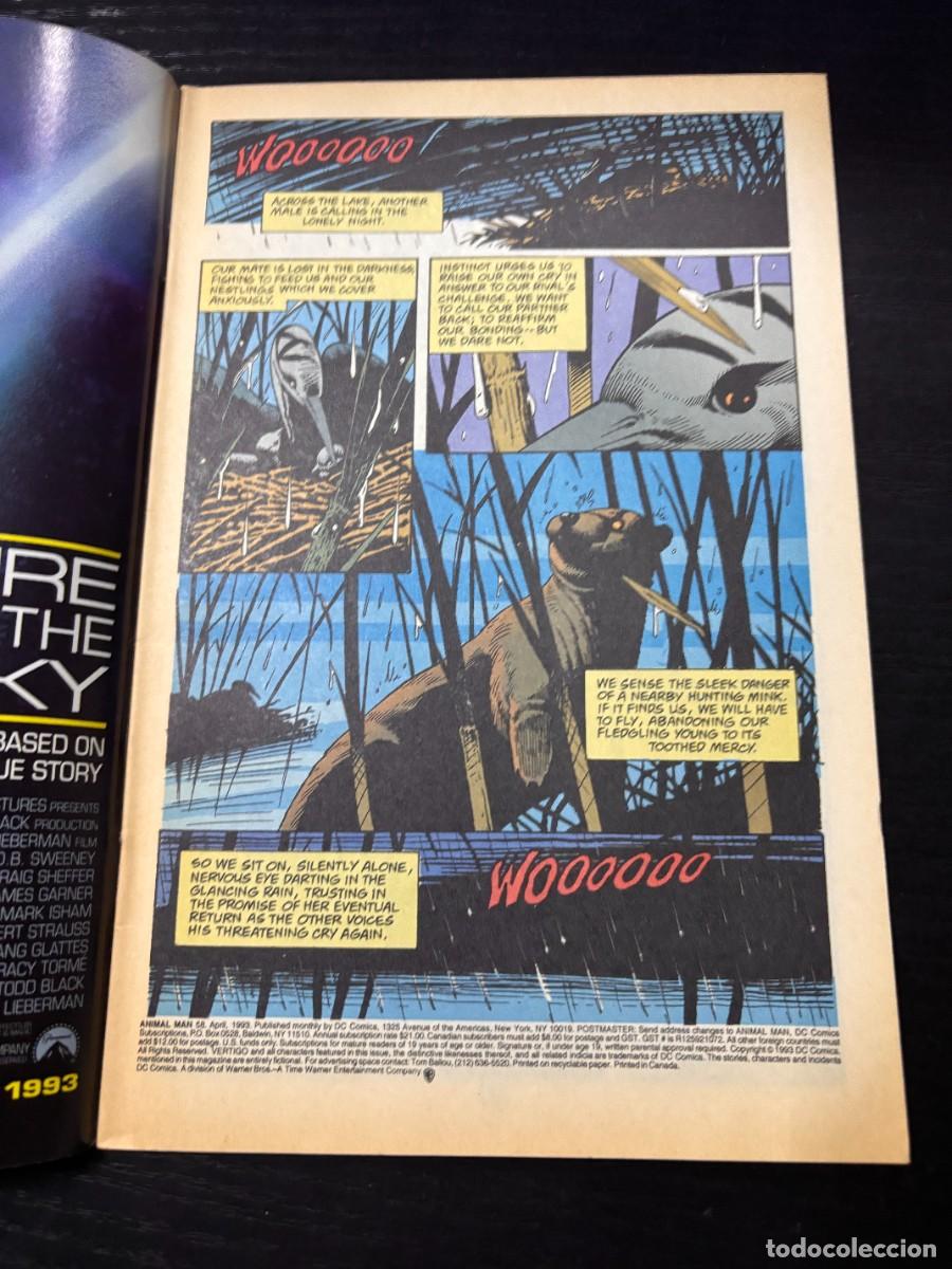 C&oacute;mics: ANIMAL MAN. N&ordm; 58.- WILDSIDE. DC COMICS - Foto 2