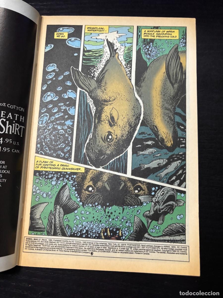 C&oacute;mics: ANIMAL MAN. N&ordm; 57.- WILD BUNCH. DC COMICS - Foto 2