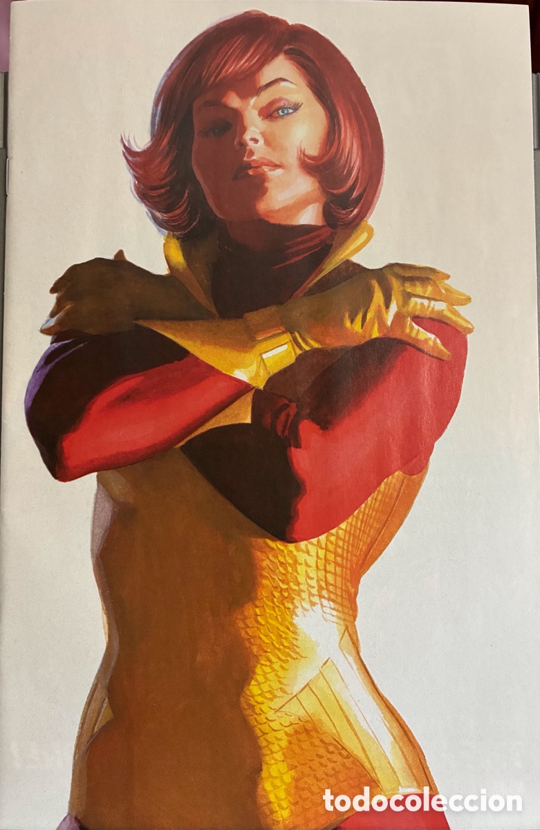 Cómics: Iron man virgin variant Alex ross