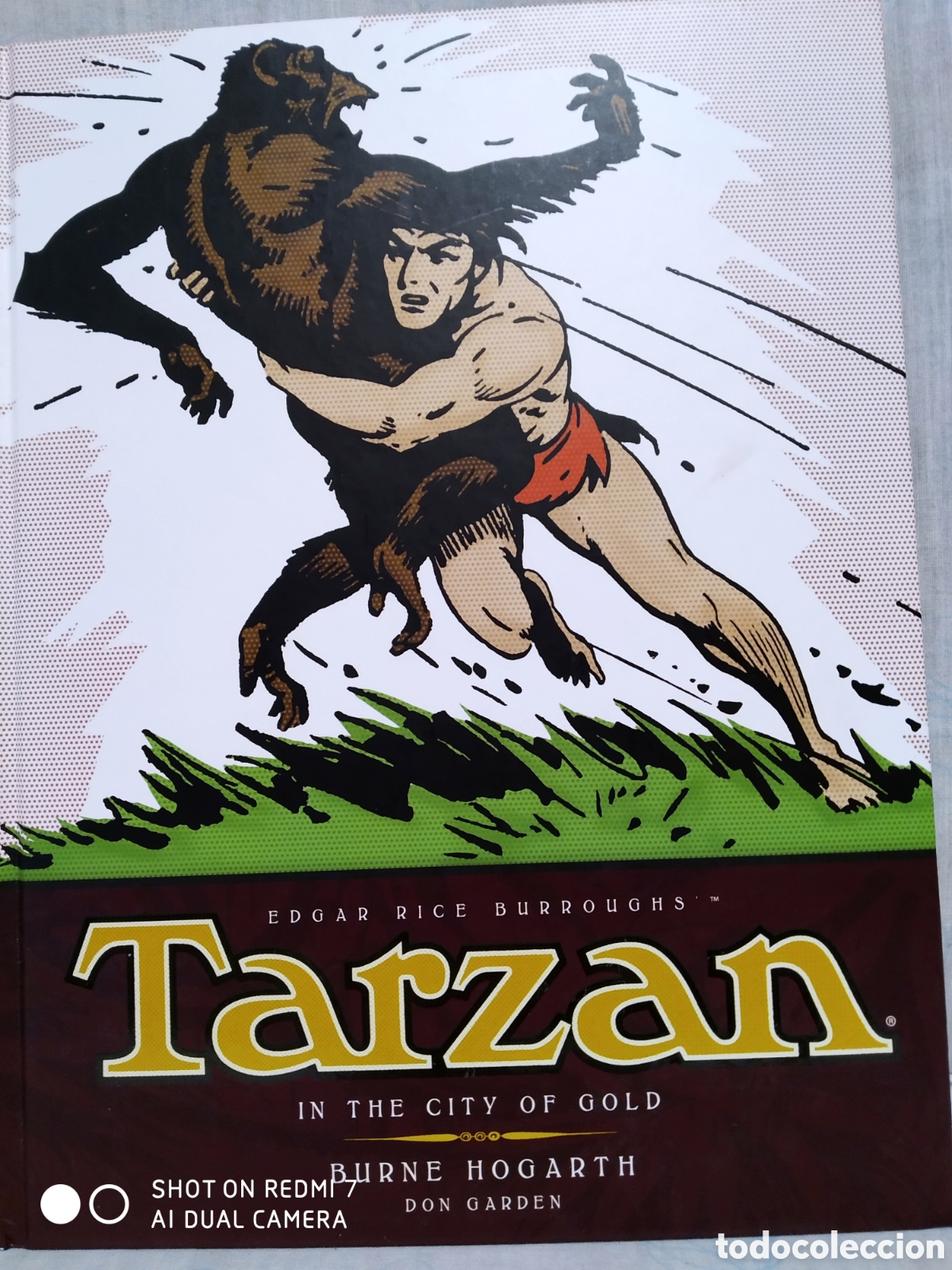 C&oacute;mics: TARZAN de Burne Hogarth - Foto 1