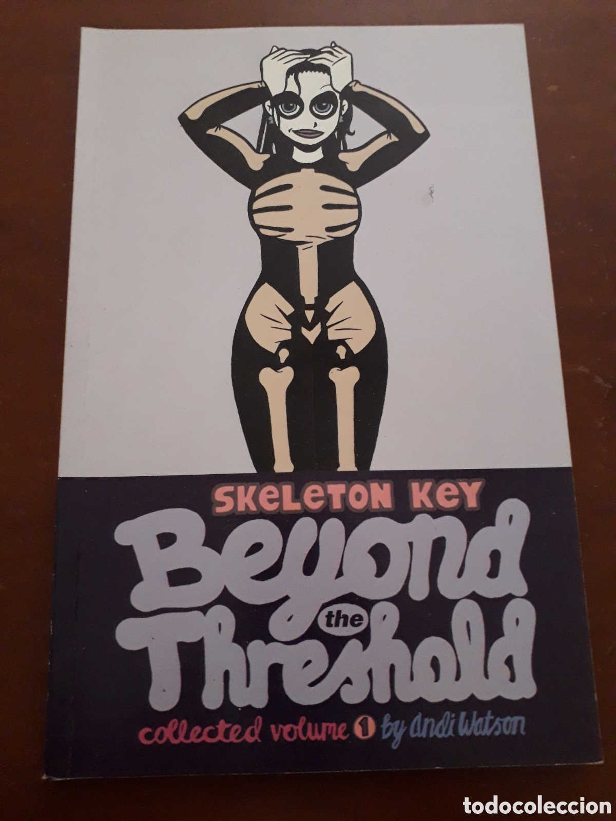 C&oacute;mics: SKELETON KEY. VOLUME 1. ANDI WATSON. ORIGINAL USA - Foto 1