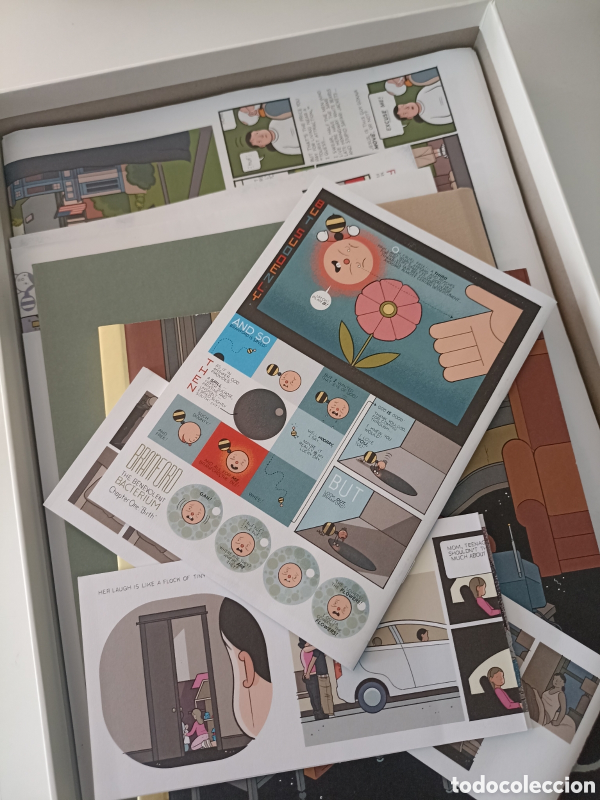 C&oacute;mics: Chris Ware - Building Stories (Jonathan Cape, Random House, 2012) Third Edition - Foto 4