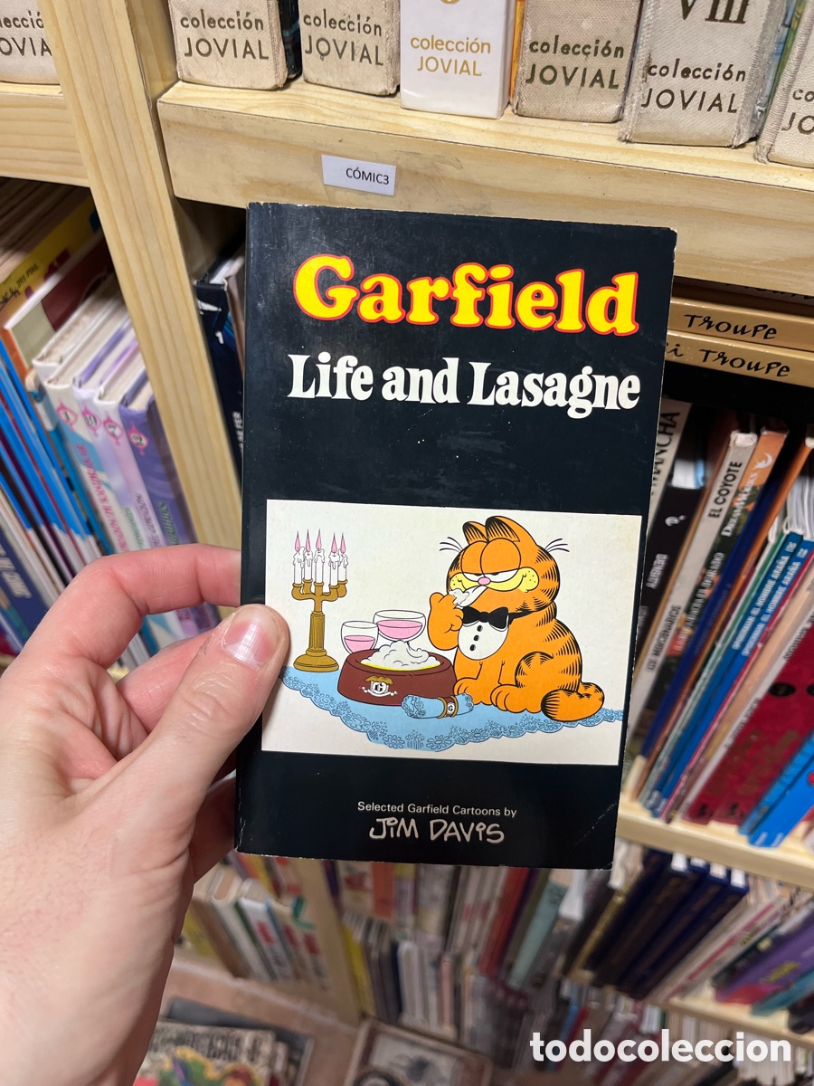 C&oacute;mics: C&Oacute;MIC3 Garfield Life and Lasagne - Jim davis