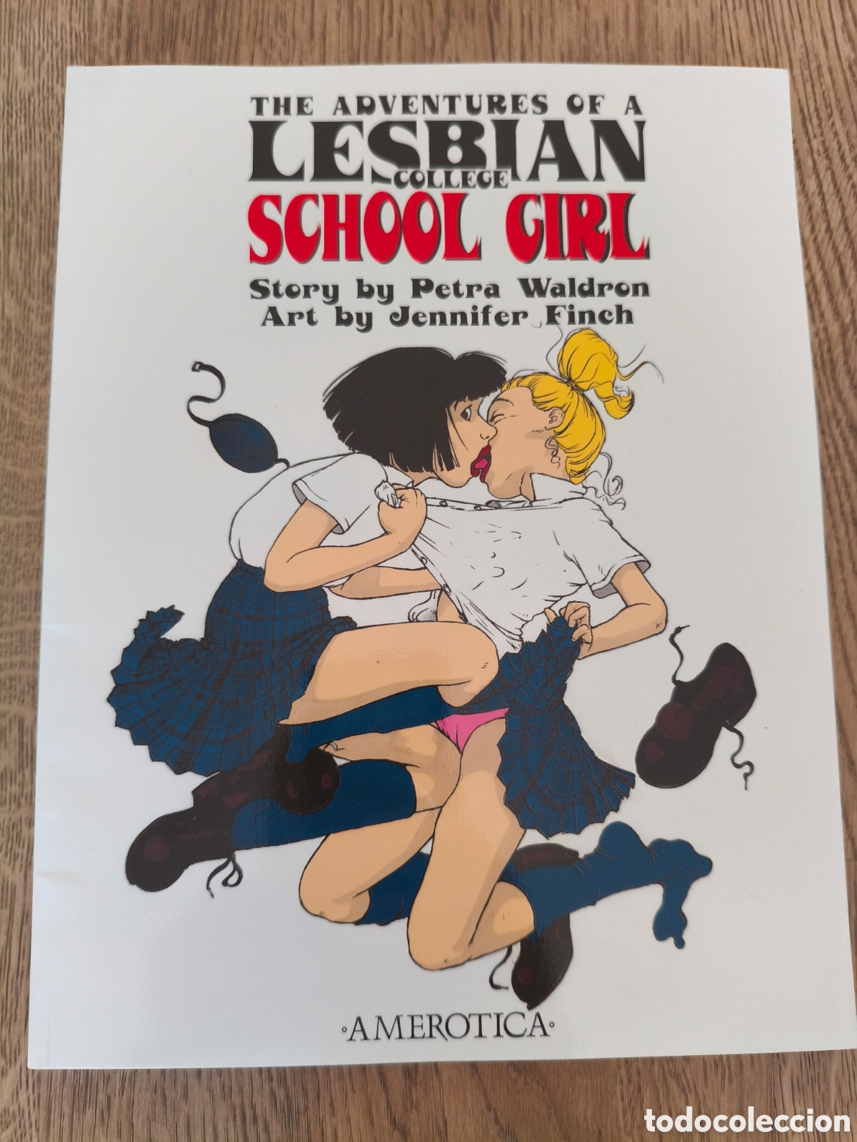 C&oacute;mics: THE ADVENTURES OF A LESBIAN COLLEGE SCHOOLGIRL JENNIFER FINCH & PETRA WALDRON AMEROTICA 1997