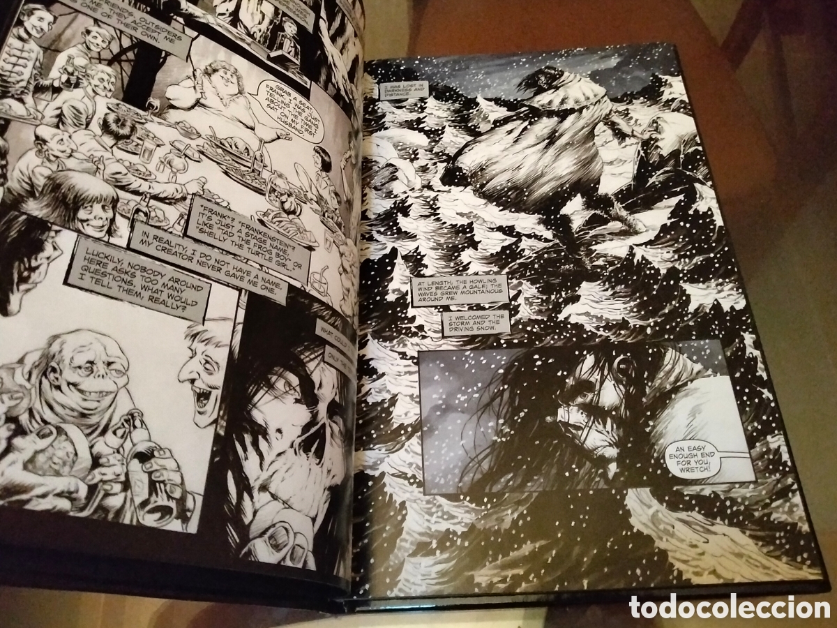 C&oacute;mics: Bernie Wrightson Frankenstein Alive Alive The Complete Collection IDW 2018 Env&iacute;o Gratis - Foto 4