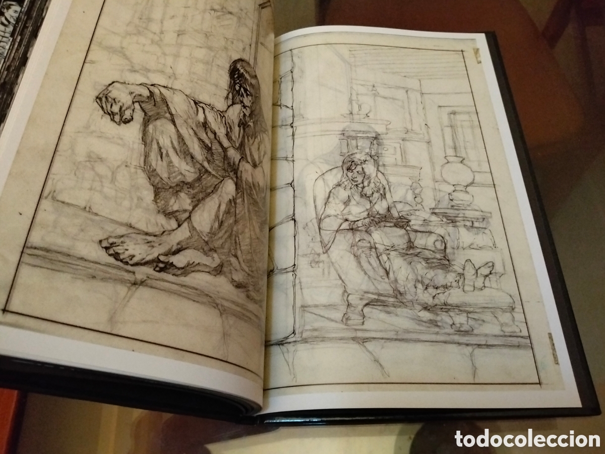 C&oacute;mics: Bernie Wrightson Frankenstein Alive Alive The Complete Collection IDW 2018 Env&iacute;o Gratis - Foto 7