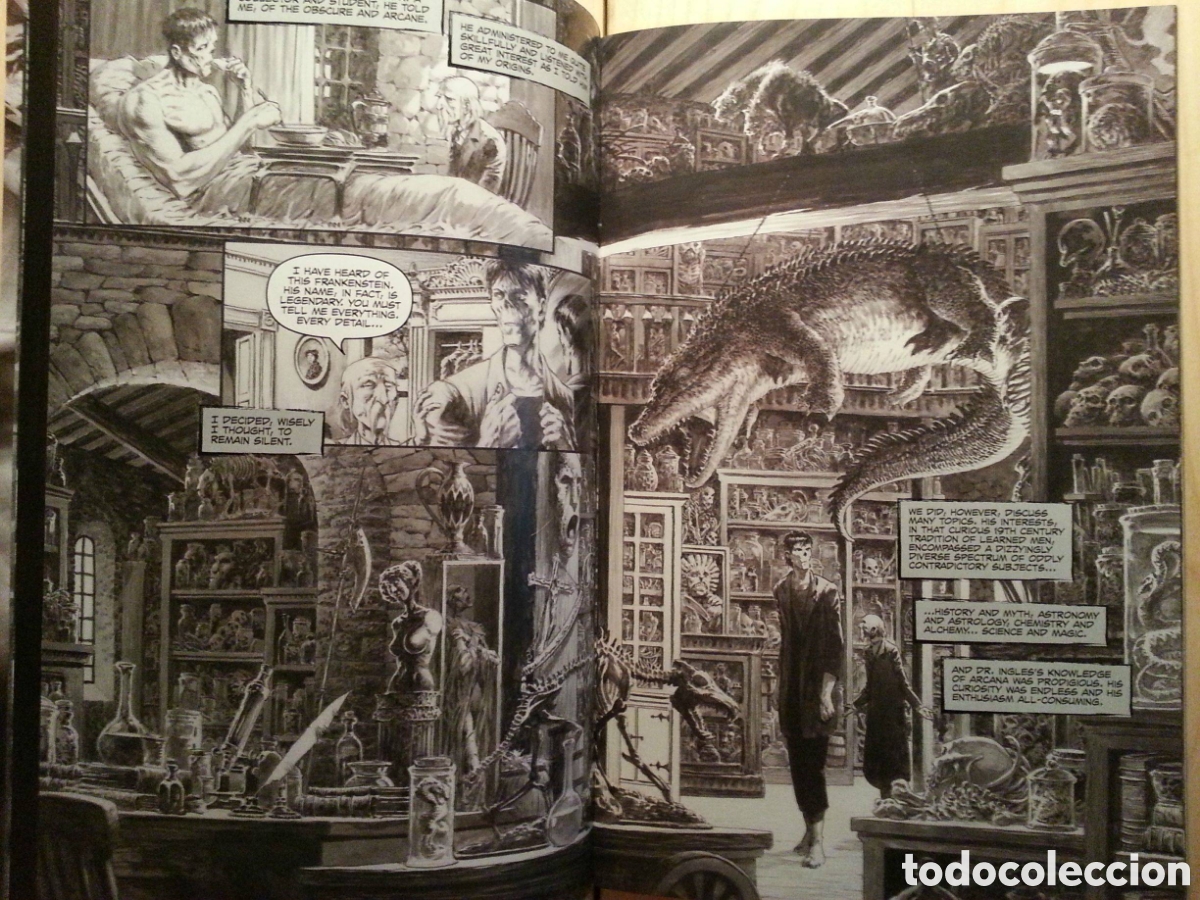 C&oacute;mics: Bernie Wrightson Frankenstein Alive Alive The Complete Collection IDW - Foto 5