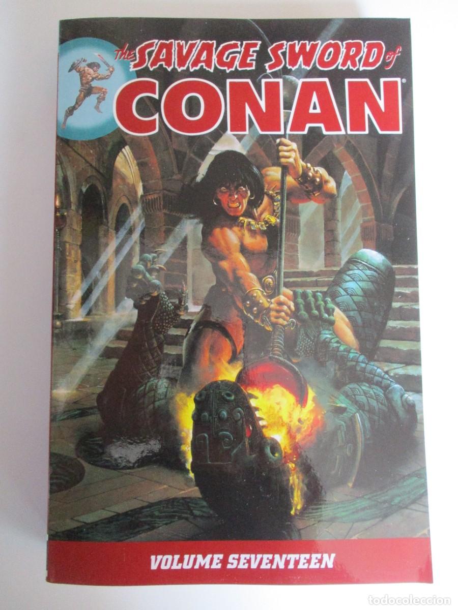 C&oacute;mics: The Savage Sword of Conan Volume 17 Dark Horse Comics PB 1st Printing 2014 G9