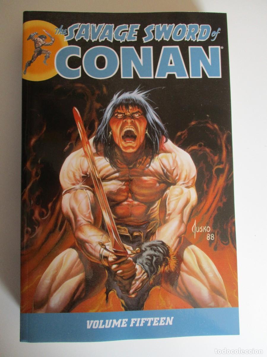 C&oacute;mics: La espada salvaje de Conan, volumen 15 de Chuck Dixon, Dark Horse - NUEVO &rdquo; SELLADO&rdquo;