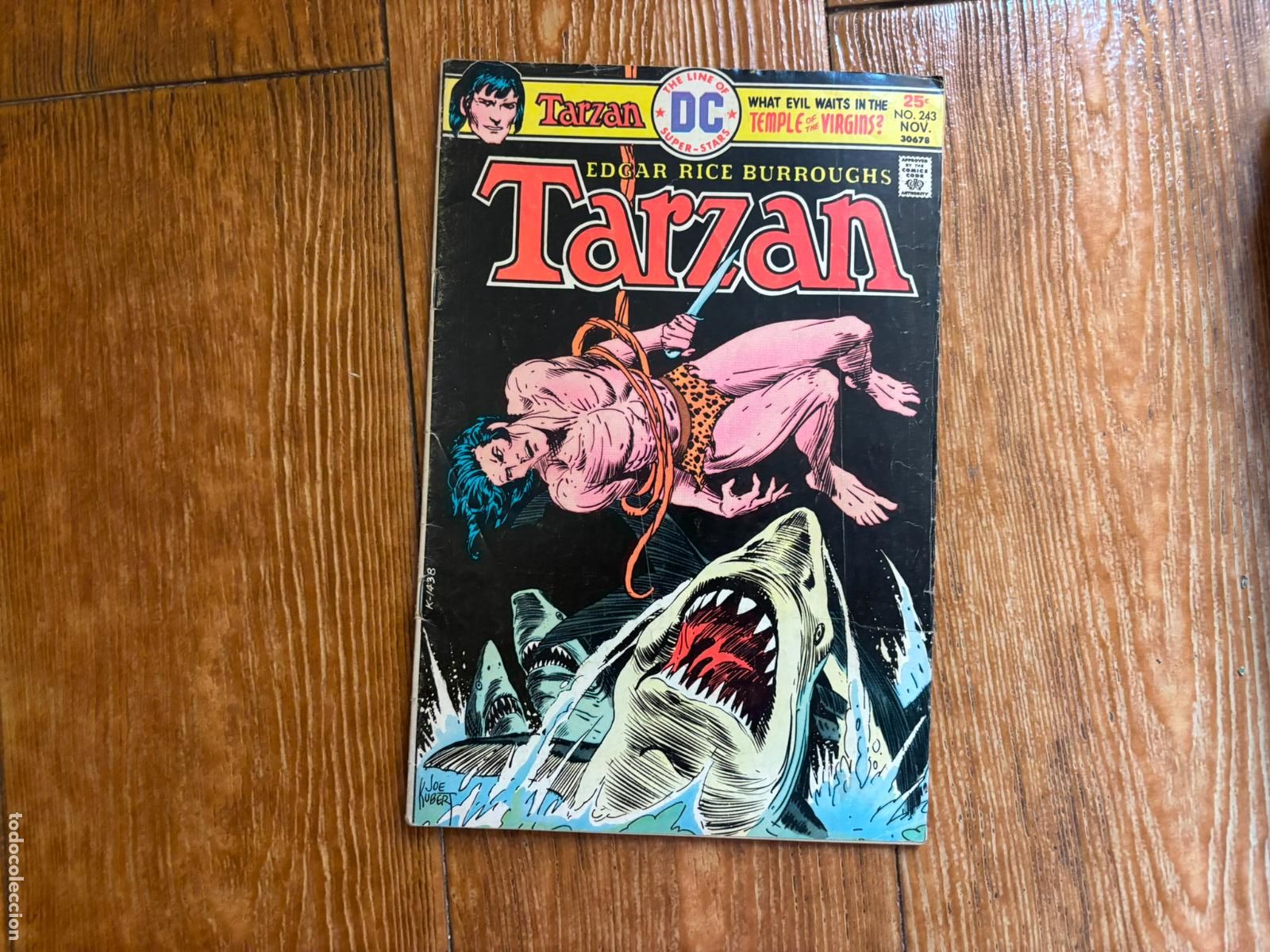 C&oacute;mics: TARZAN N&ordm; 243 - DC COMICS 1975 - Foto 1
