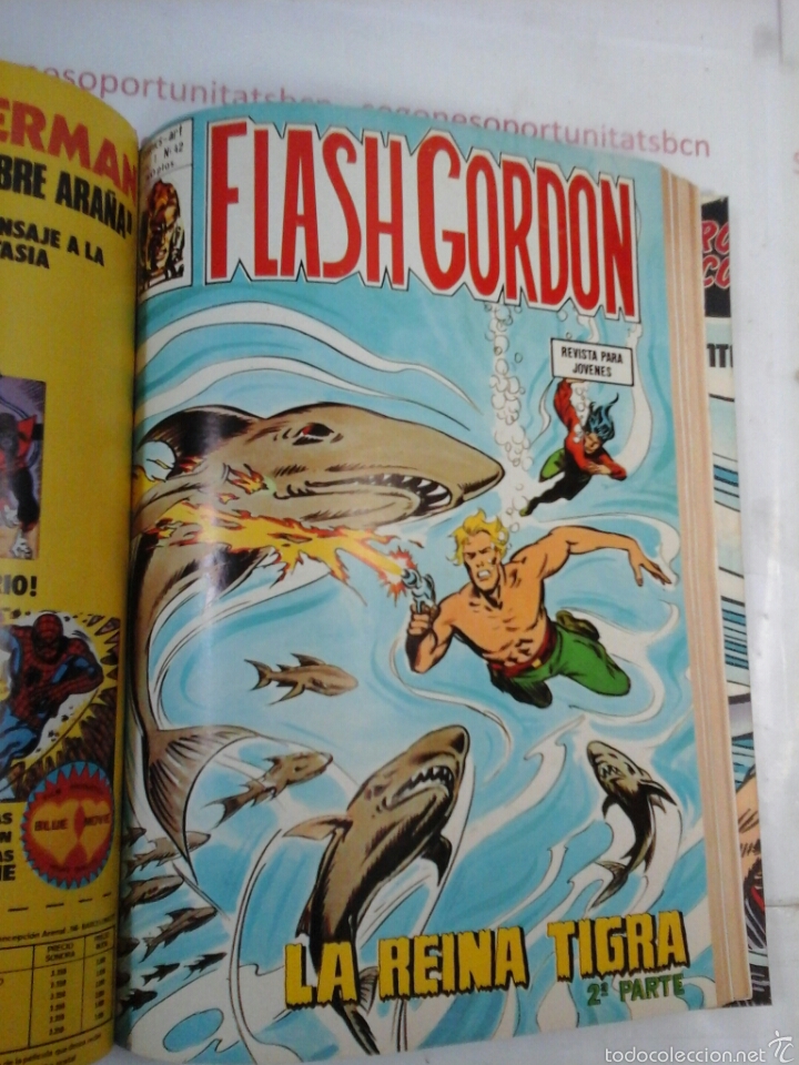 C&oacute;mics: TOMO &Uacute;NICO - FLASH GORDON - EDICI&Oacute;N V&Eacute;RTICE -V1.1974 - Foto 10