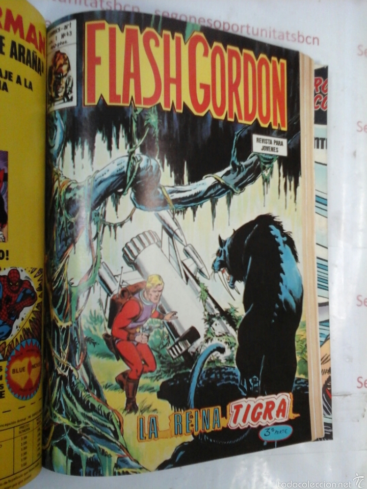 C&oacute;mics: TOMO &Uacute;NICO - FLASH GORDON - EDICI&Oacute;N V&Eacute;RTICE -V1.1974 - Foto 11