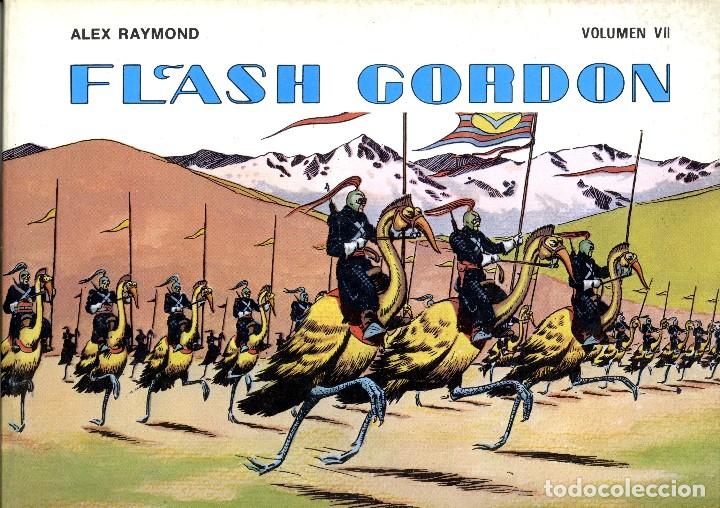 C&oacute;mics: FLASH GORDON. . VOLUMEN VII. ALEX RAYMOND. EDICIONES B.O. (RF.MA) - Foto 1