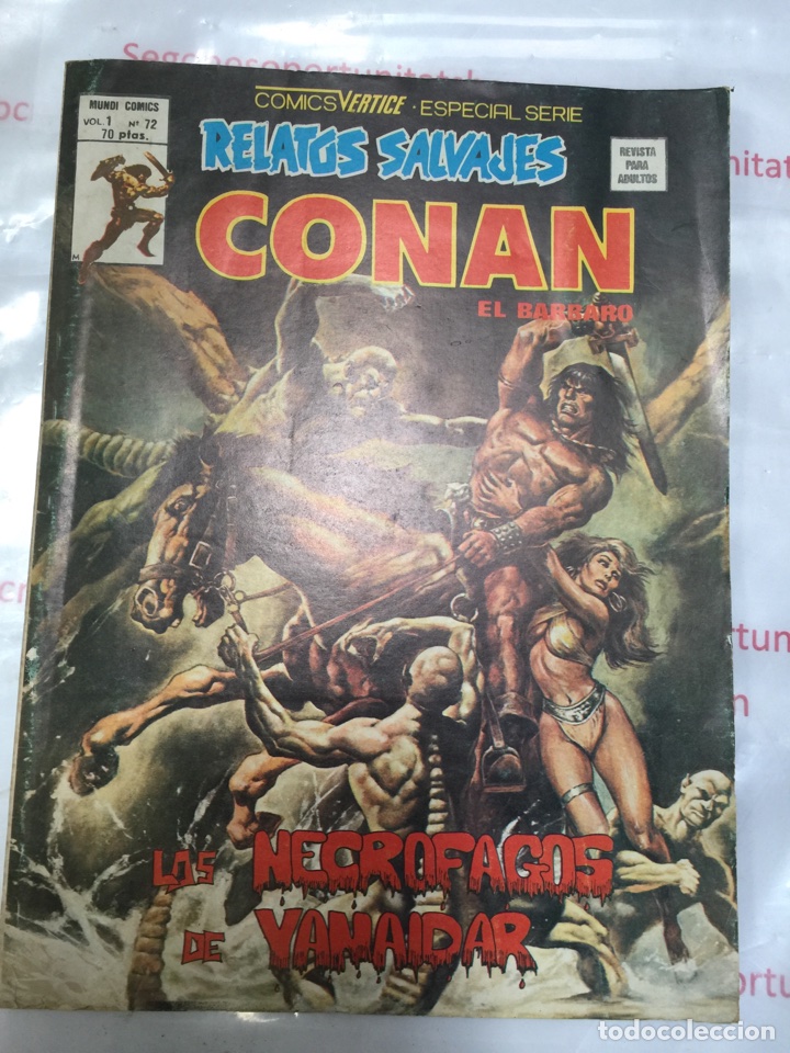 C&oacute;mics: RELATOS SALVAJES-CONAN el barbaro - Foto 1