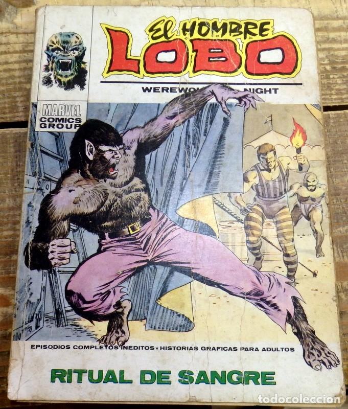 C&oacute;mics: RITUAL DE SANGRE. EL HOMBRE LOBO N&ordm; 5. MARVEL COMICS GROUP. EDIT. VERTICE. 1973 - Foto 1