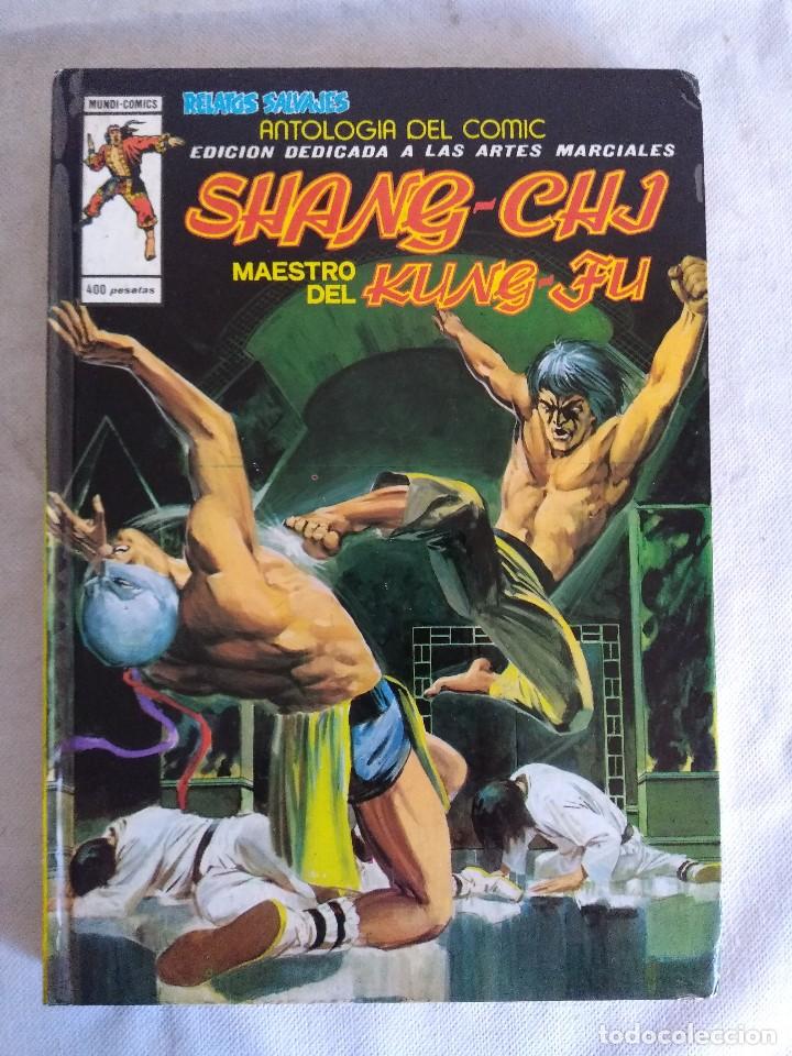 C&oacute;mics: ANTOLOGIA DEL COMIC/SHANG-CHI/N&ordm;11 VERTICE. - Foto 1