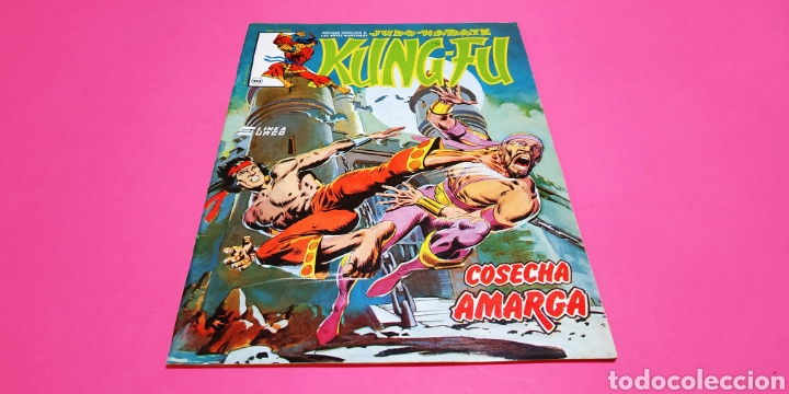 C&oacute;mics: EXCELENTE ESTADO KUNG FU 10 VERTICE SURCO - Foto 1