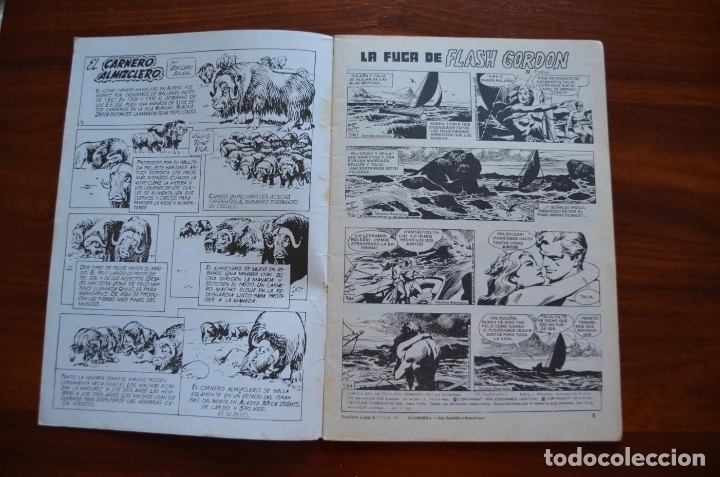 C&oacute;mics: Flash Gordon 39 - Foto 5