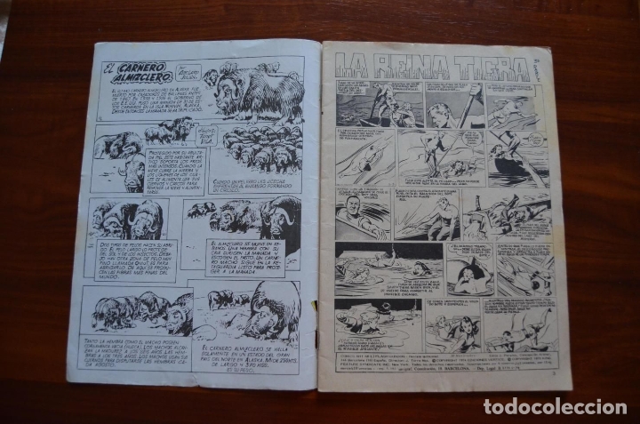 C&oacute;mics: Flash Gordon 43 - Foto 5