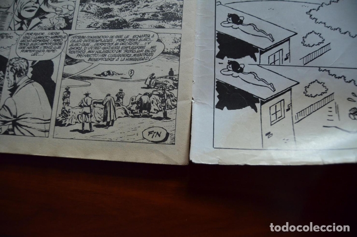 C&oacute;mics: Planeta de los Monos 20 - Foto 6