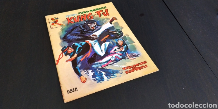C&oacute;mics: EXCELENTE ESTADO KUNG FU 6 VERTICE LINEA 83 - Foto 1