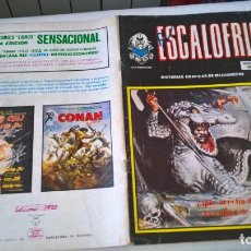 Cómics: COMIC: ESCALOFRIO 63 - HISTORIAS GRAFICAS DE MEDIANOCHE 
