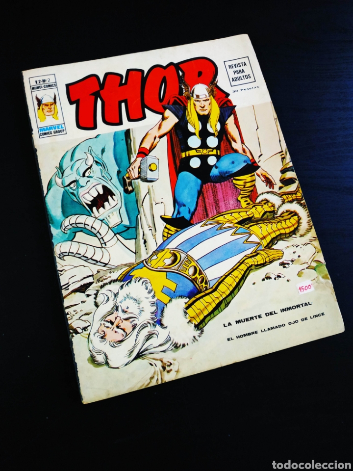 C&oacute;mics: CASI EXCELENTE ESTADO THOR 2 VERTICE VOL 2 - Foto 1