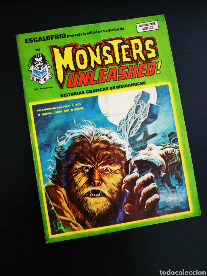 C&oacute;mics: CASI EXCELENTE ESTADO ESCALOFRIO 19 VERTICE MONSTERS - Foto 1