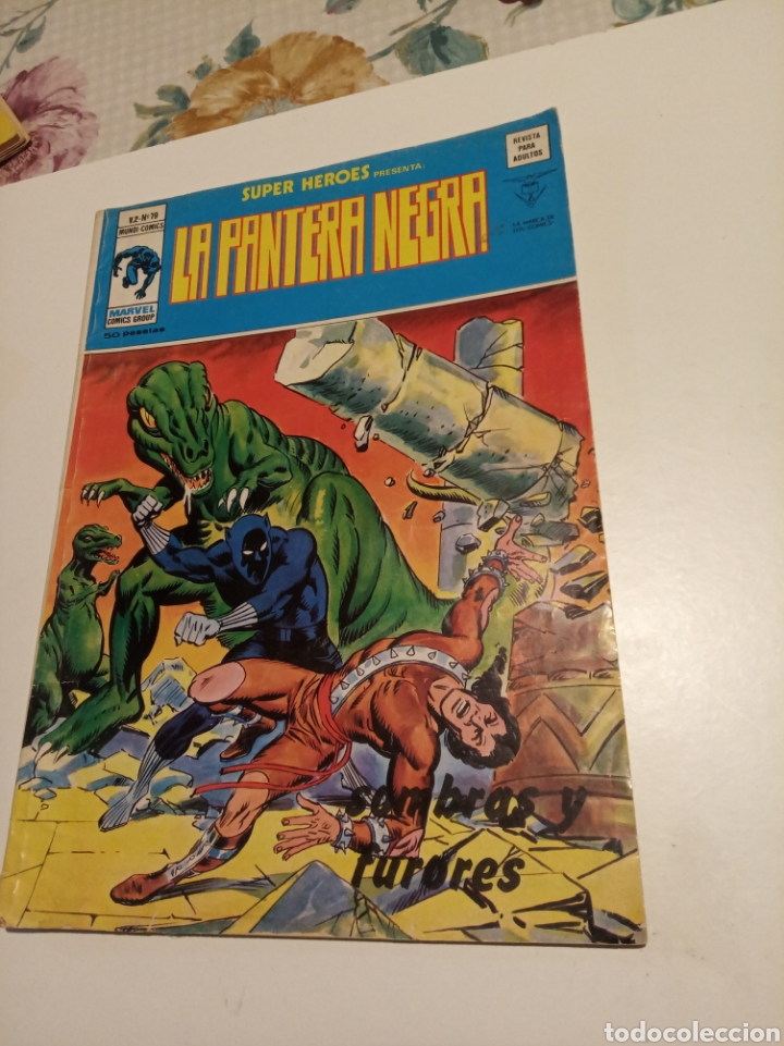 C&oacute;mics: La pantera negra - Foto 1