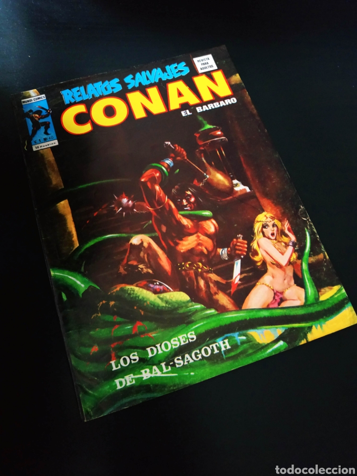 C&oacute;mics: EXCELENTE ESTADO RELATOS SALVAJES 40 VERTICE CONAN - Foto 1