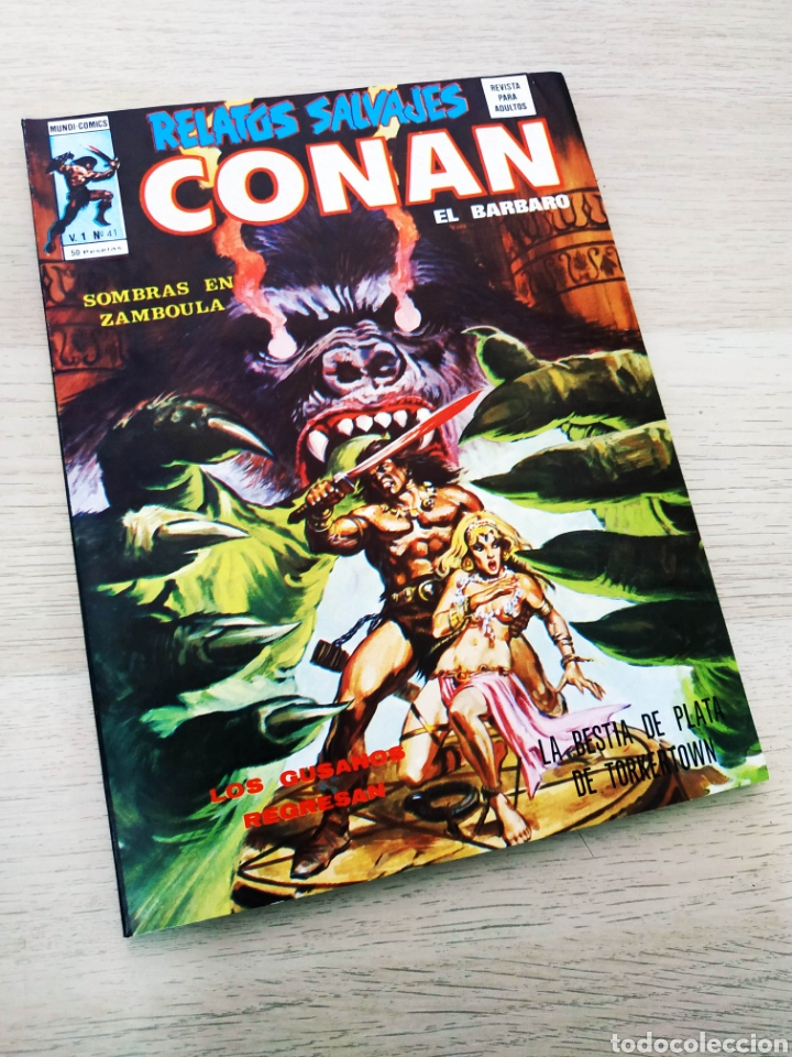 C&oacute;mics: DE KIOSCO RELATOS SALVAJES 41 CONAN VERTICE - Foto 1