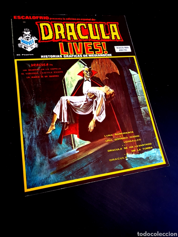 C&oacute;mics: EXCELENTE ESTADO ESCALOFRIO 24 VERTICE - Foto 1