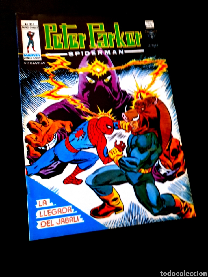 C&oacute;mics: EXCELENTE ESTADO PETER PARKER 7 VERTICE - Foto 1
