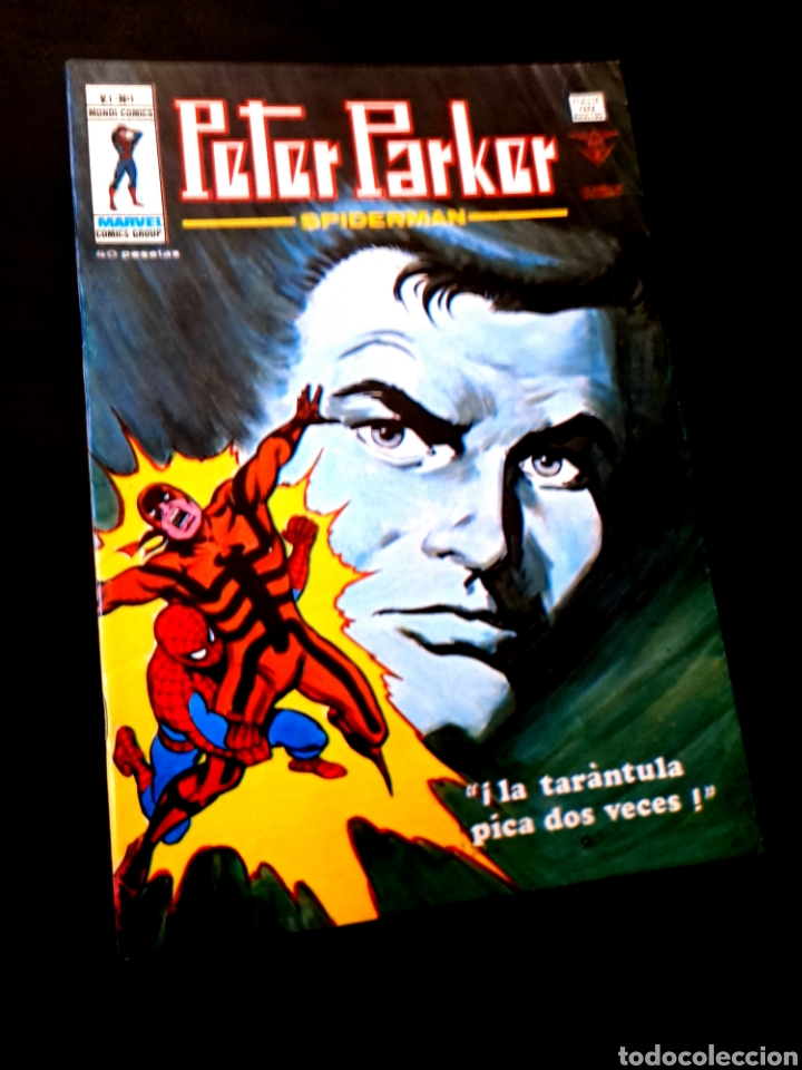 C&oacute;mics: EXCELENTE ESTADO PETER PARKER 1 VERTICE - Foto 1