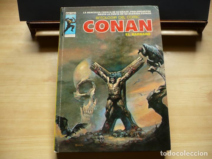 C&oacute;mics: Antolog&iacute;a Conan el B&aacute;rbaro. Ediciones V&eacute;rtice, 2 tomos. - Foto 5