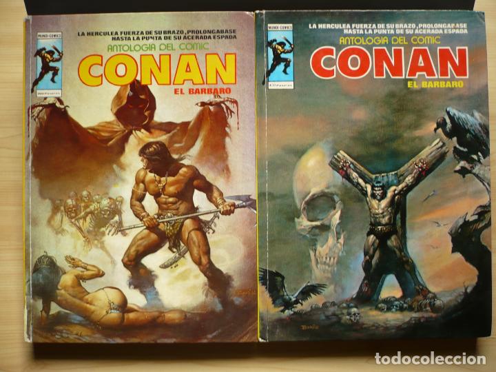C&oacute;mics: Antolog&iacute;a Conan el B&aacute;rbaro. Ediciones V&eacute;rtice, 2 tomos. - Foto 9