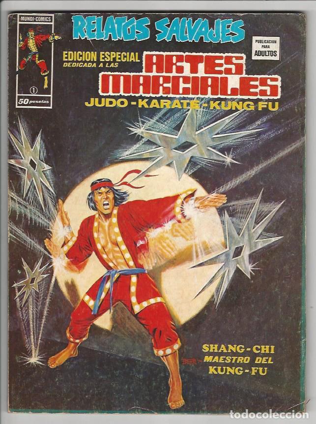 C&oacute;mics: V&eacute;rtice. Volumen 1. Artes marciales. 1 - Foto 1