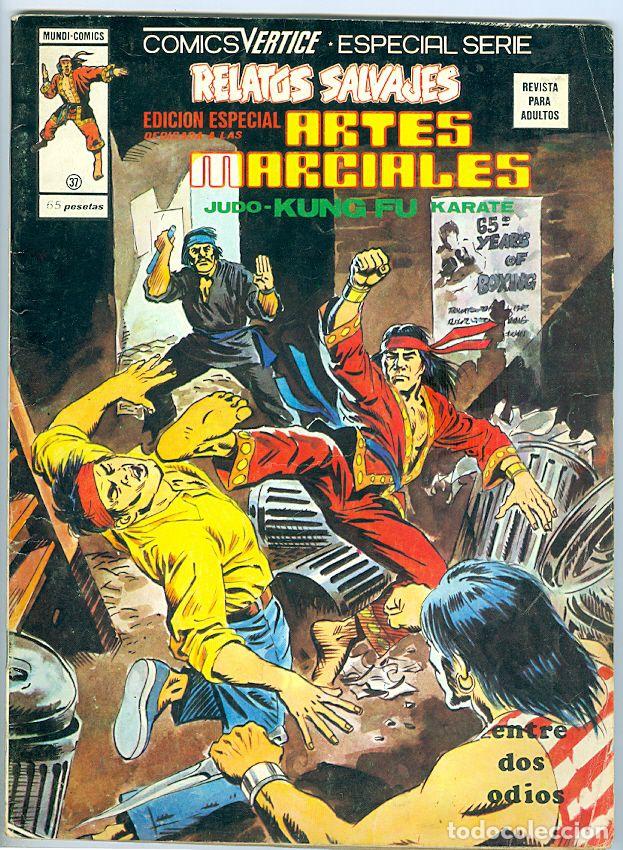 C&oacute;mics: V&eacute;rtice. Volumen 1. Artes marciales. 37 - Foto 1
