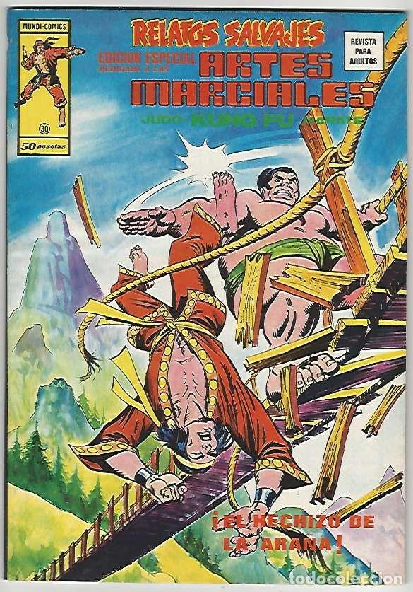 C&oacute;mics: V&eacute;rtice. Volumen 1. Artes marciales. 30 - Foto 1