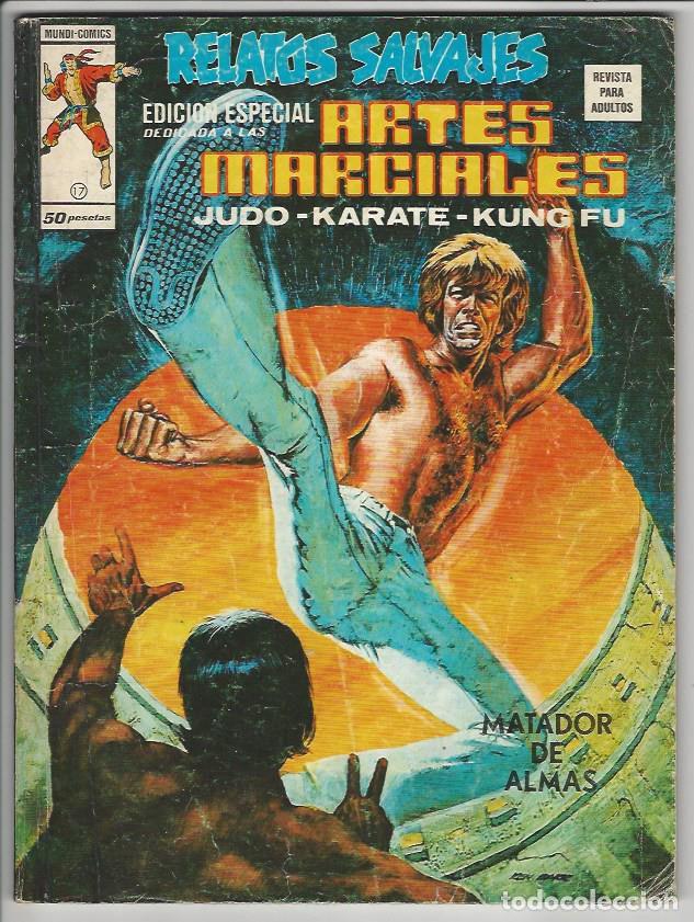 C&oacute;mics: V&eacute;rtice. Volumen 1. Artes marciales. 17 - Foto 1