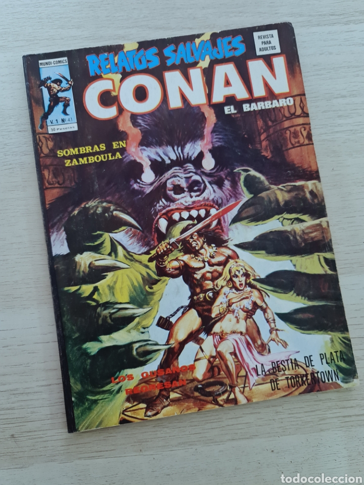 C&oacute;mics: EXCELENTE ESTADO RELATOS SALVAJES 41 CONAN COMICS EDICIONES VERTICE - Foto 1