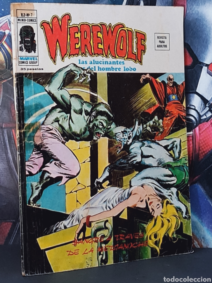 C&oacute;mics: WEREWOLF 7 VOL II UNA HERMANA EN EL INFIERNO NORMAL ESTADO CELO GRAPA EDICIONES VERTICE - Foto 1