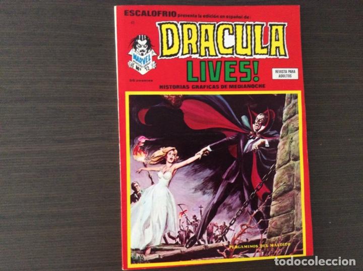 C&oacute;mics: ESCALOFR&Iacute;O VERTICE N&Uacute;MERO 43 EXCELENTE ESTADO - Foto 1